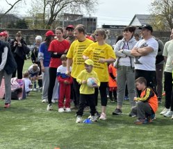 img (8)